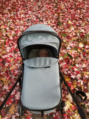 Mompush Baby Stroller, Convertible 2-in-1, Infant Car Seat Compatible, Includes Adapter - Sturdy Full-Size Infant Stroller for Family Adventures photo review